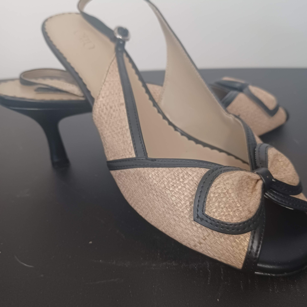 Elegant Black and Tan Women's Heels